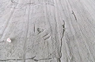 水泥地面防潮方法 雨天再也不怕潮濕，兼談建筑砌塊銷(xiāo)售的選擇